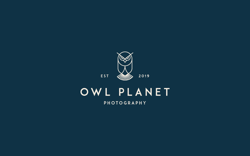優(yōu)雅logo設(shè)計(jì)欣賞-貓頭鷹