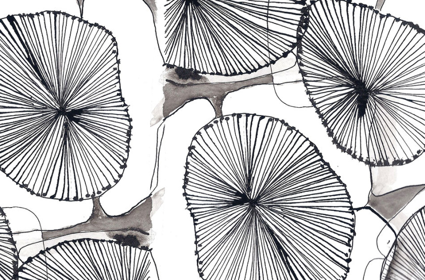 Tiosk茶飲餐飲品牌形象設計，水墨線條畫風格