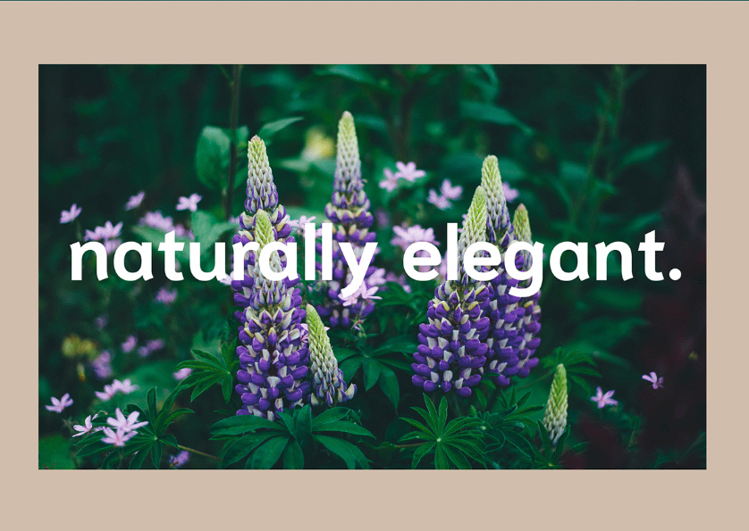 Bostaan 景觀公司logo設(shè)計與vi設(shè)計，矢量化幾何風格綠葉與根須