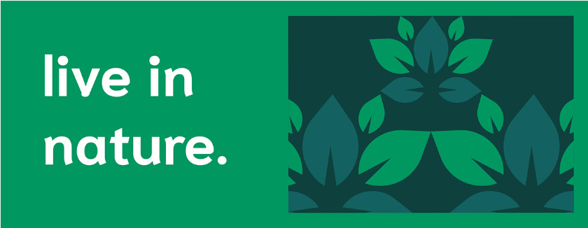 Bostaan 景觀公司logo設(shè)計與vi設(shè)計，矢量化幾何風格綠葉與根須