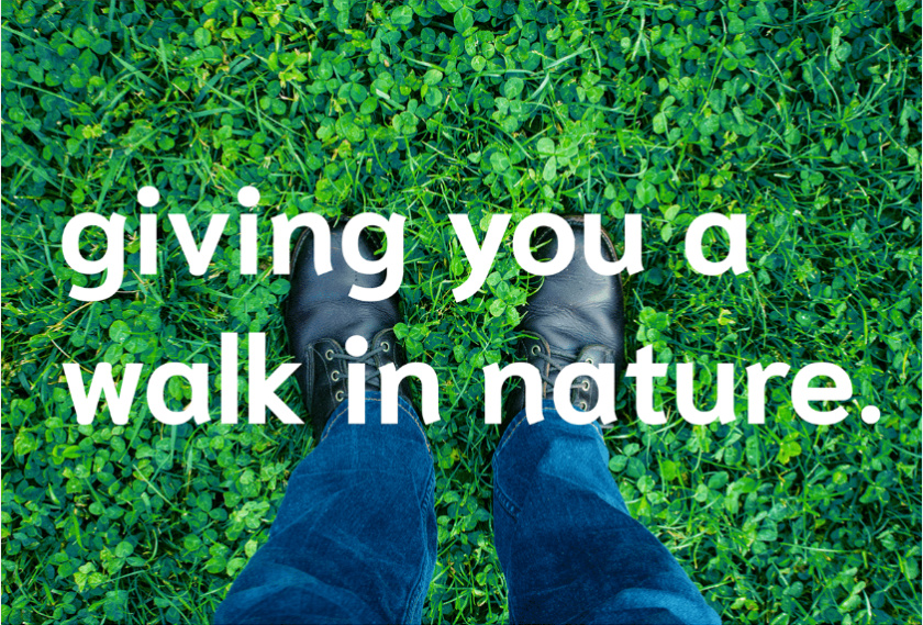 Bostaan 景觀公司logo設(shè)計與vi設(shè)計，矢量化幾何風格綠葉與根須