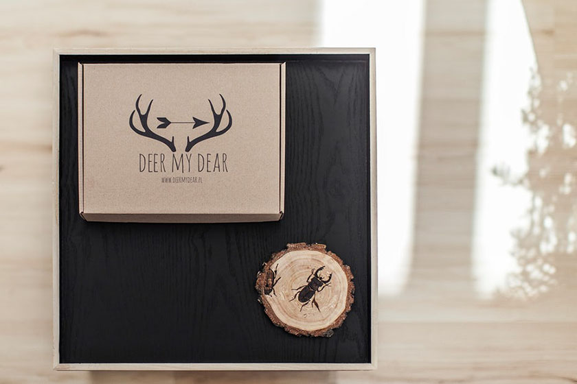 Deer My Dear 極簡主義包裝設(shè)計