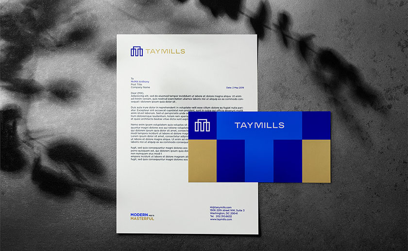 泰米爾斯房地產(chǎn)公司品牌vi設(shè)計(jì)視覺識(shí)別系統(tǒng) 泰米爾斯房地產(chǎn)公司品牌vi設(shè)計(jì)視覺識(shí)別系統(tǒng)