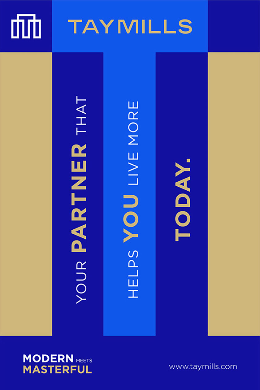 泰米爾斯房地產(chǎn)公司品牌vi設(shè)計(jì)視覺識(shí)別系統(tǒng) 泰米爾斯房地產(chǎn)公司品牌vi設(shè)計(jì)視覺識(shí)別系統(tǒng)