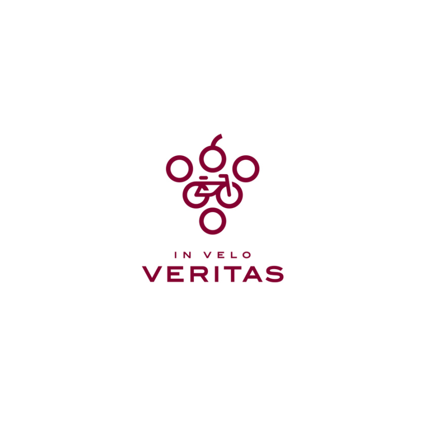 圈子看起來像一串葡萄，兩個圓圈連在一起看起來像一輛自行車旅游logo設(shè)計