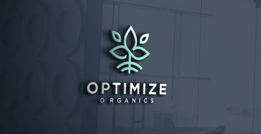 展現(xiàn)成功的咨詢顧問logo設(shè)計