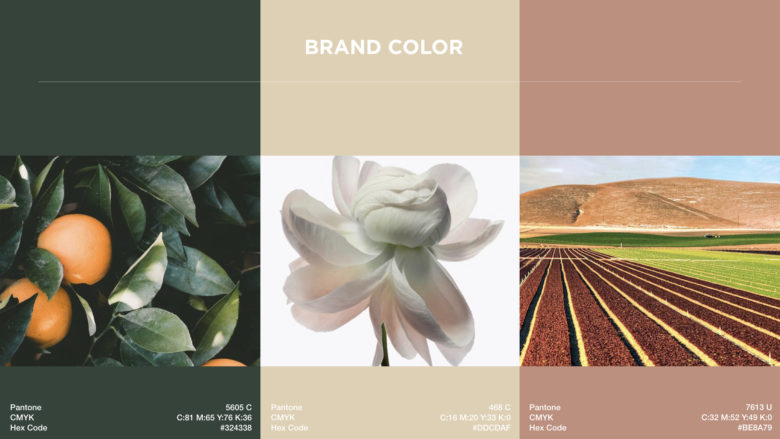 m?rir化妝品品牌vi視覺形象設(shè)計-品牌色彩 m?rir化妝品品牌vi視覺形象設(shè)計-品牌色彩