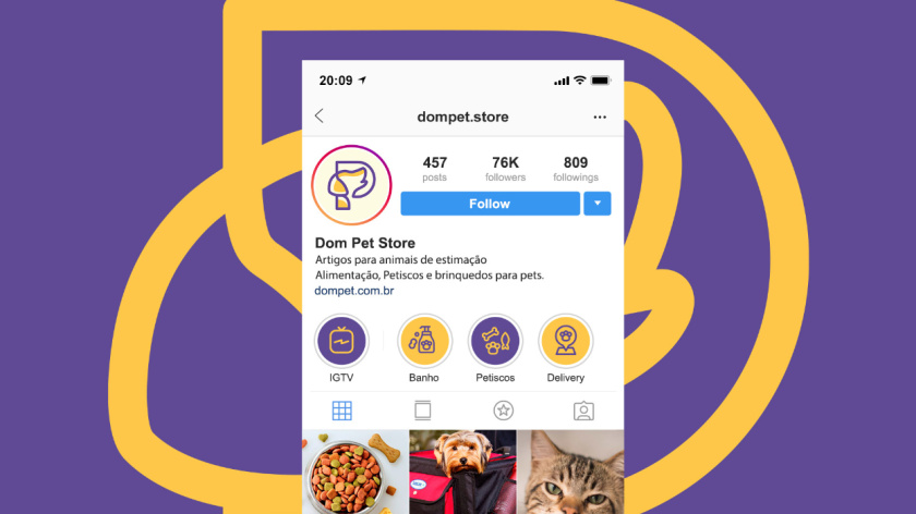 Dom Pet Store 寵物食品專賣店品牌logo設(shè)計vi設(shè)計，首字母+狗頭線條logo