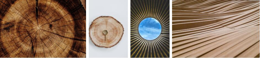 Woodie 高端家具制造品牌logo設(shè)計vi設(shè)計 ”木紋元素“