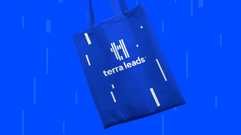 Terra Leads 注冊會計師互聯(lián)網(wǎng)平臺網(wǎng)站品牌形象logo設(shè)計vi設(shè)計-禮品袋子,變化的垂直線條 Terra Leads 注冊會計師互聯(lián)網(wǎng)平臺網(wǎng)站品牌形象logo設(shè)計vi設(shè)計-禮品袋子,變化的垂直線條