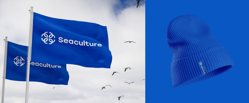 Seaculture 海水養(yǎng)殖海鮮品牌logo與vi識別設計，四個線條魚組合