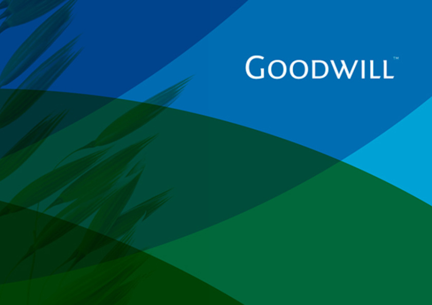 Goodwill 糧食面粉企業(yè)品牌logo設(shè)計(jì)與品牌形象識(shí)別設(shè)計(jì)，小鳥與花朵結(jié)合元素