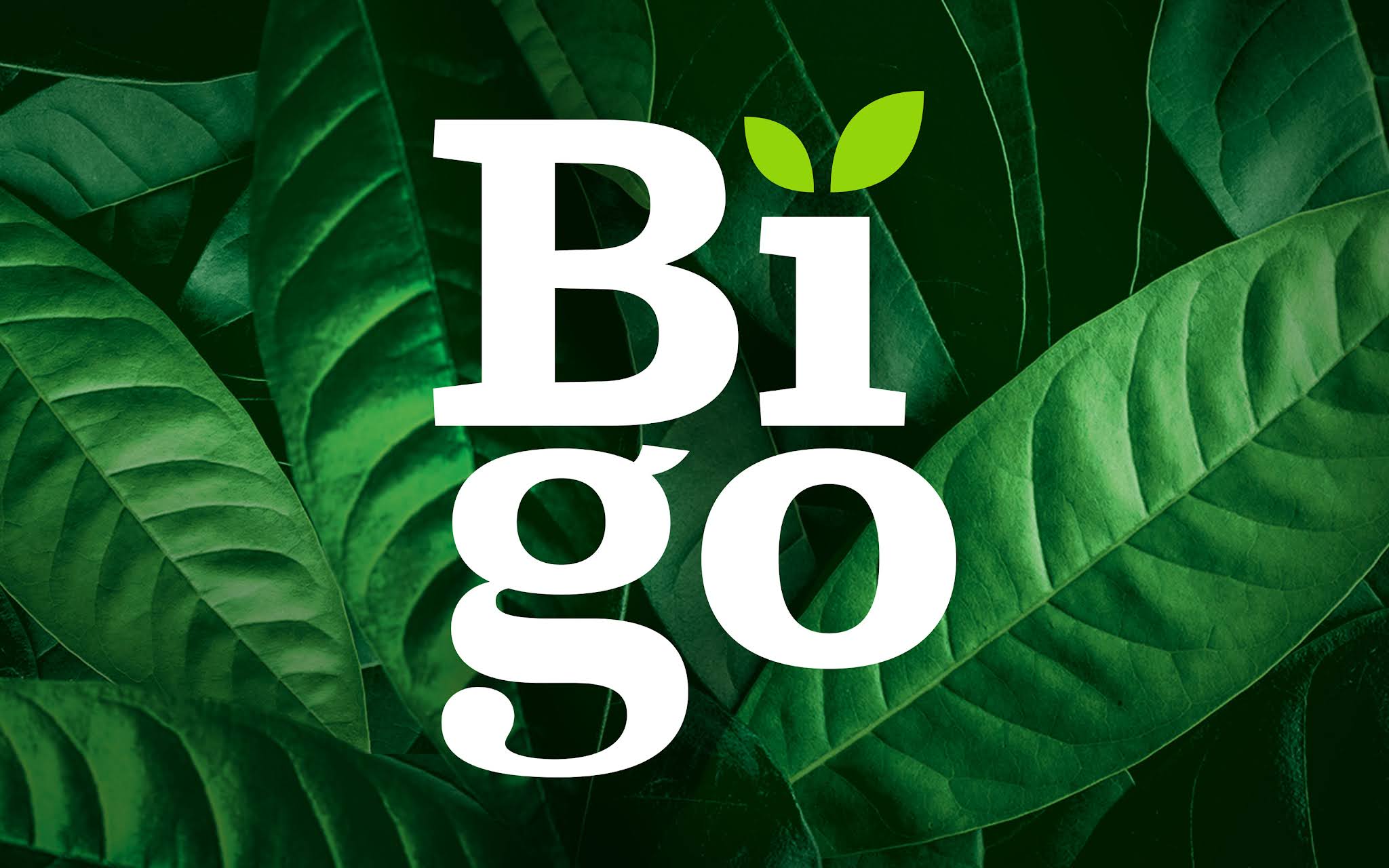 Bigo純天然功能飲料包裝設計”活力綠色白色“版式 Bigo純天然功能飲料包裝設計”活力綠色白色“版式