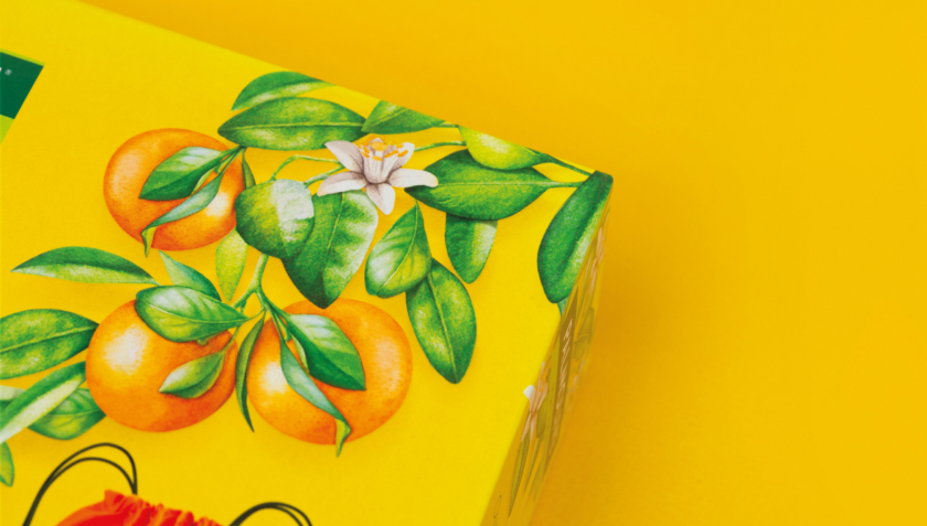 Palmolive 洗護(hù)沐浴露禮品套裝禮盒包裝設(shè)計,對角線植物圖案 Palmolive 洗護(hù)沐浴露禮品套裝禮盒包裝設(shè)計,對角線植物圖案