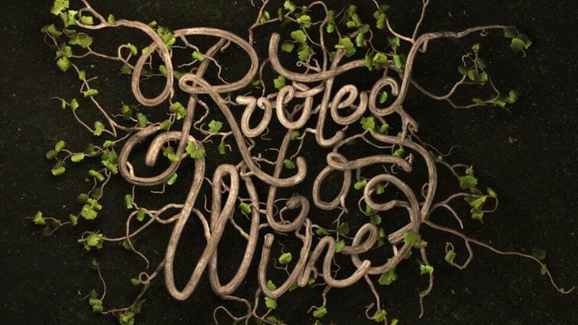 Roots 烏克蘭進(jìn)口葡萄酒公司vi設(shè)計(jì),梯田線條元素 Roots 烏克蘭進(jìn)口葡萄酒公司vi設(shè)計(jì),梯田線條元素