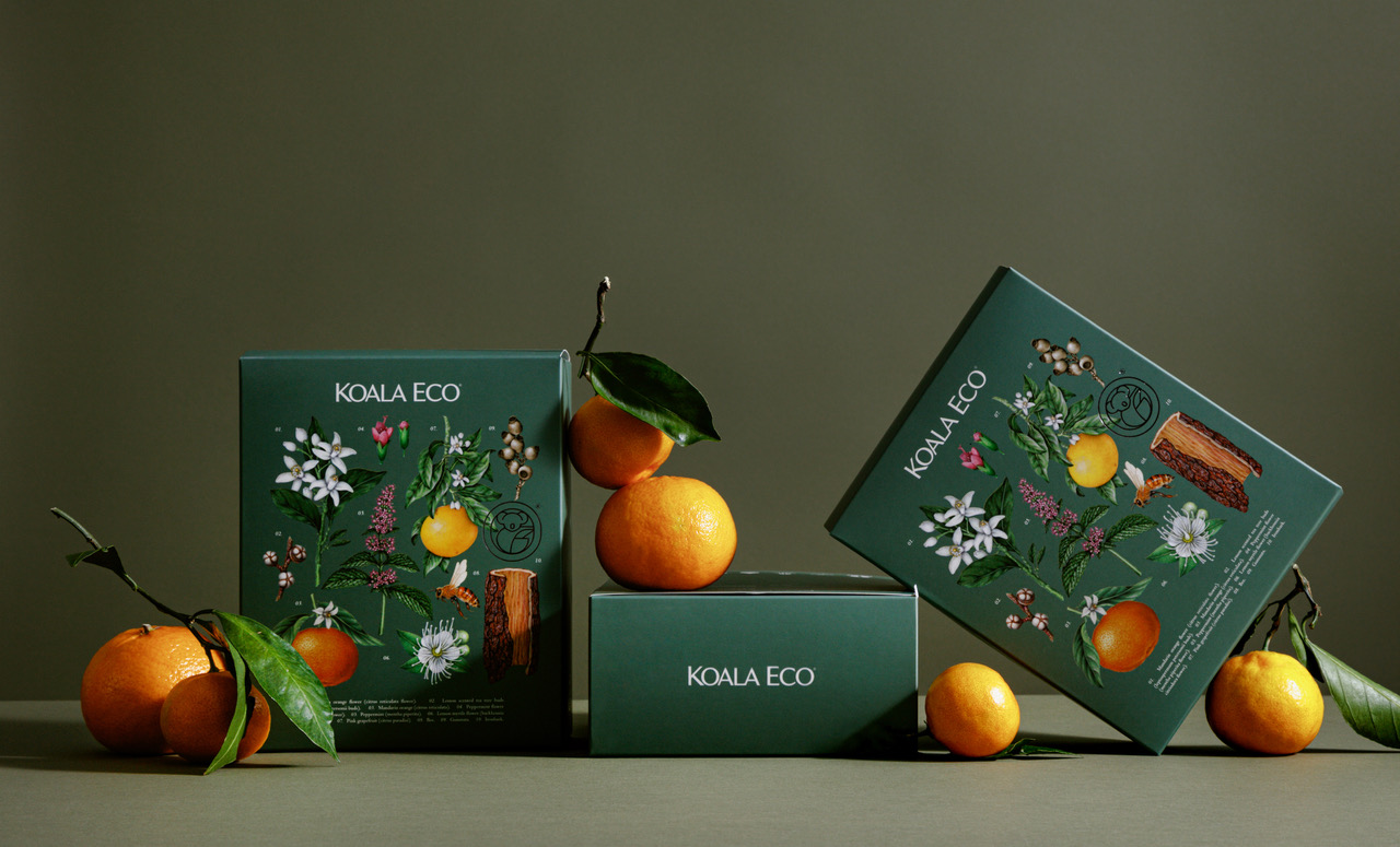 koala 植物精油綠色禮盒包裝設(shè)計，自然精致的植物花卉昆蟲插畫