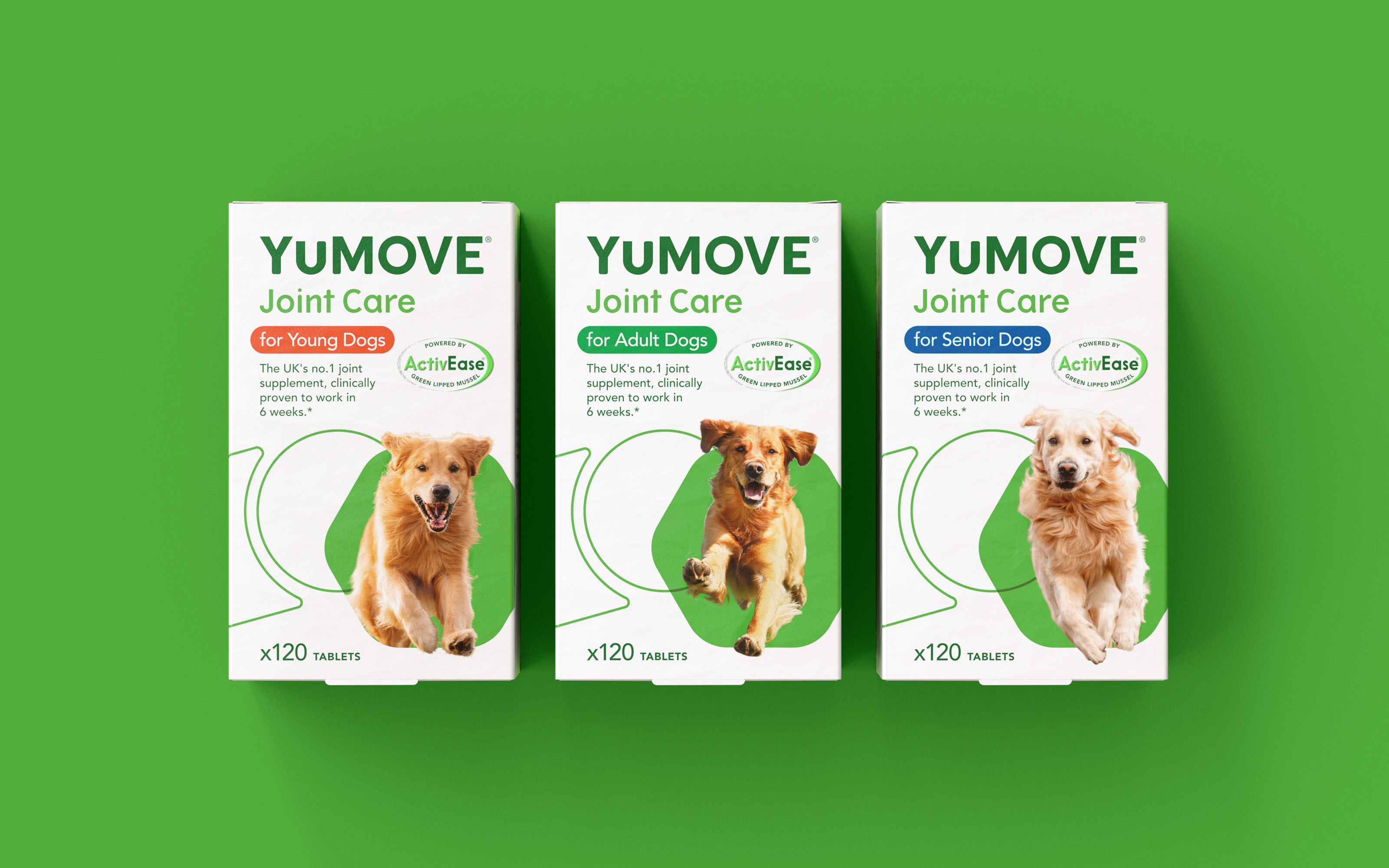 YuMOVE寵物護(hù)理品牌戰(zhàn)略策劃與系列產(chǎn)品包裝形象更新設(shè)計‘色塊+線條“ YuMOVE寵物護(hù)理品牌戰(zhàn)略策劃與系列產(chǎn)品包裝形象更新設(shè)計‘色塊+線條“