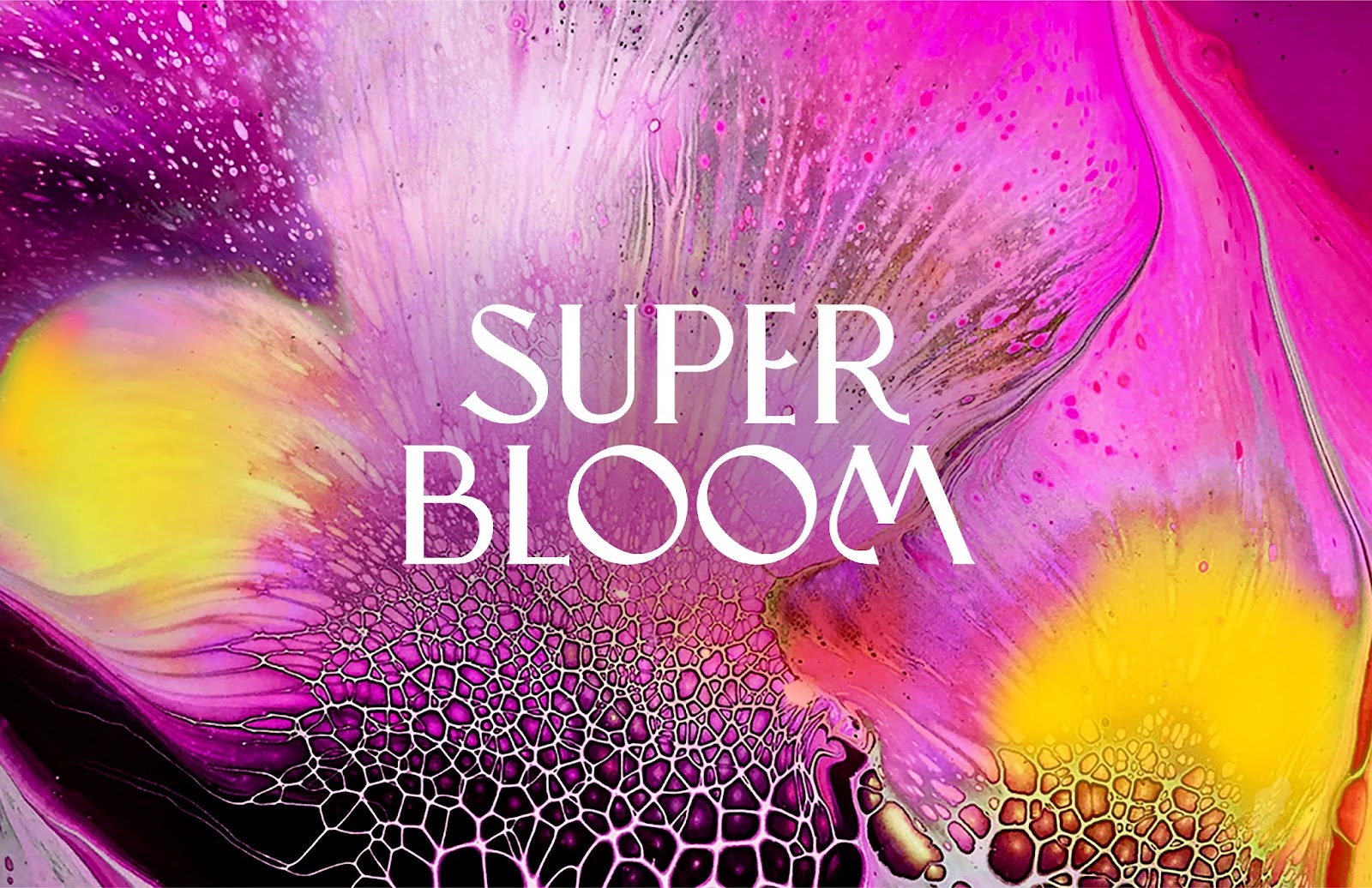 Superbloom 純植物素化妝品包裝設(shè)計(jì)，漸變水彩綻放女性美麗