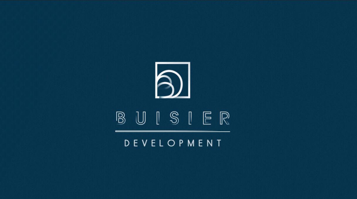 Buisier 別墅地產(chǎn)項目logo設(shè)計vi形象設(shè)計，B+D字母+方框