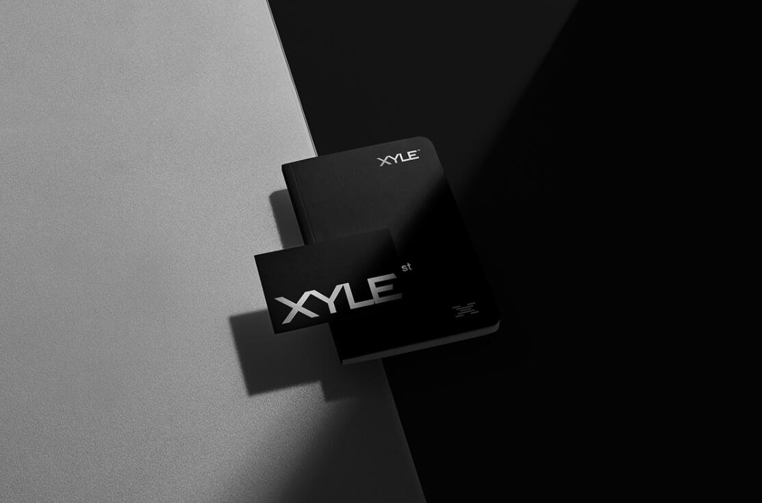 Xyle建筑設計公司logo設計品牌形象vis設計，x磚塊logo與超酷黑白漸變vi風