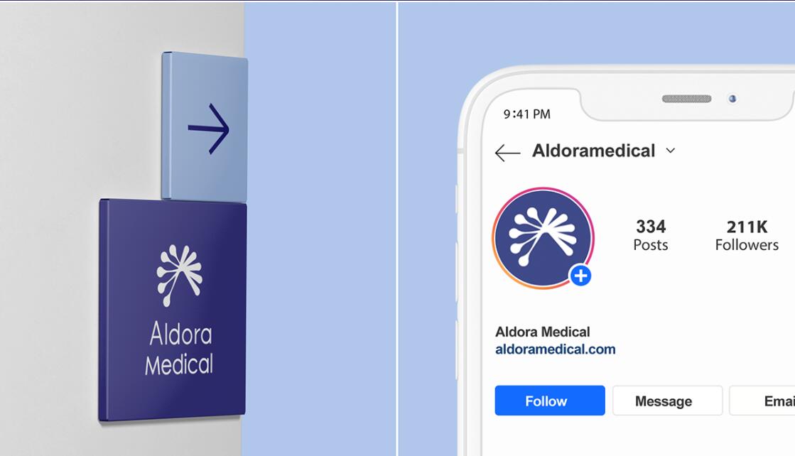 Aldora 醫(yī)療用品公司logo設(shè)計(jì)vi設(shè)計(jì)，基因重疊+字母A