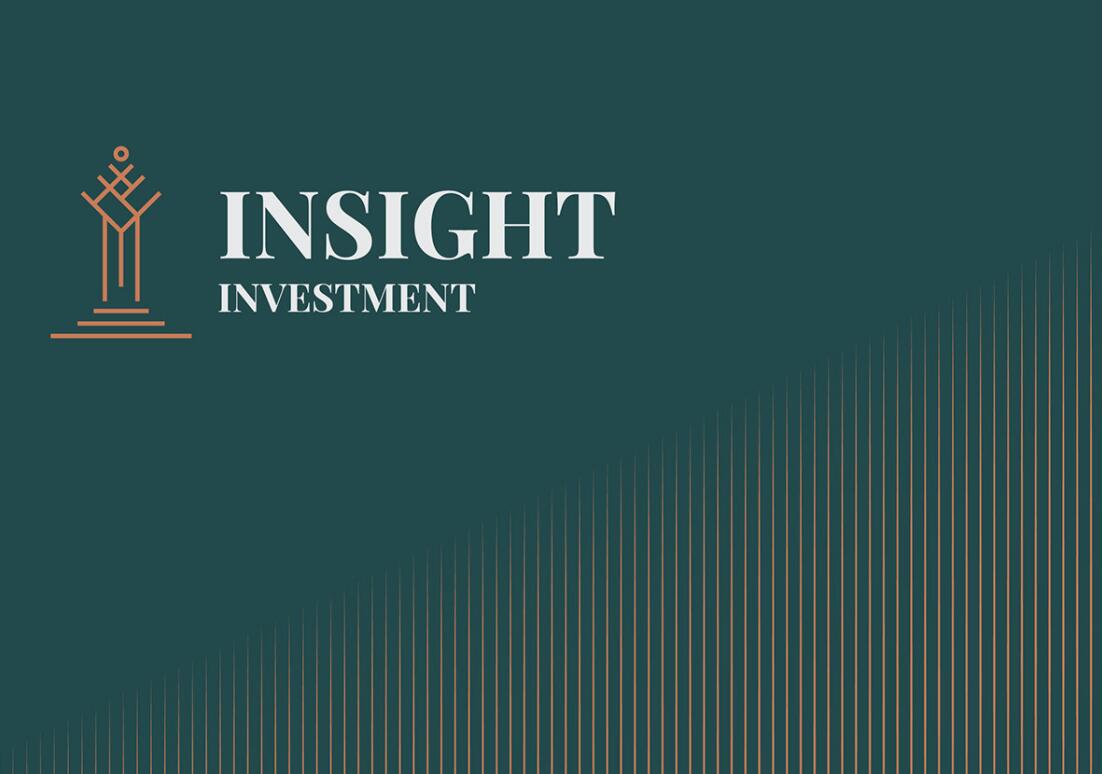 Insight 金融投資公司logo設(shè)計vis設(shè)計，基石與增長線條元素
