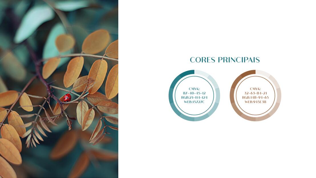 KAFRINA美容護(hù)膚產(chǎn)品品牌logo/vi設(shè)計(jì)，雙A字母+橢圓形品牌形象識(shí)別