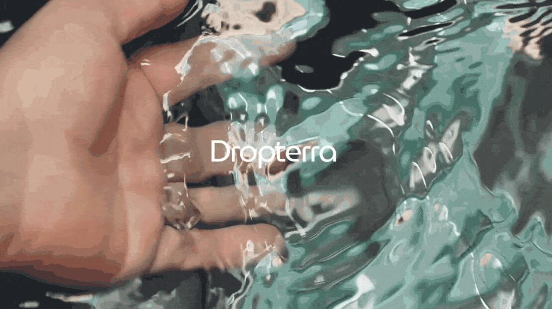 Dropterra 淡水清潔凈化公司logo設(shè)計“線條水滴”元素