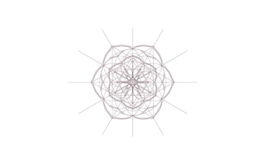 Espa?o Dermato 皮膚病醫(yī)療診所及醫(yī)美醫(yī)院logo設(shè)計(jì)vi設(shè)計(jì)，桃花元素