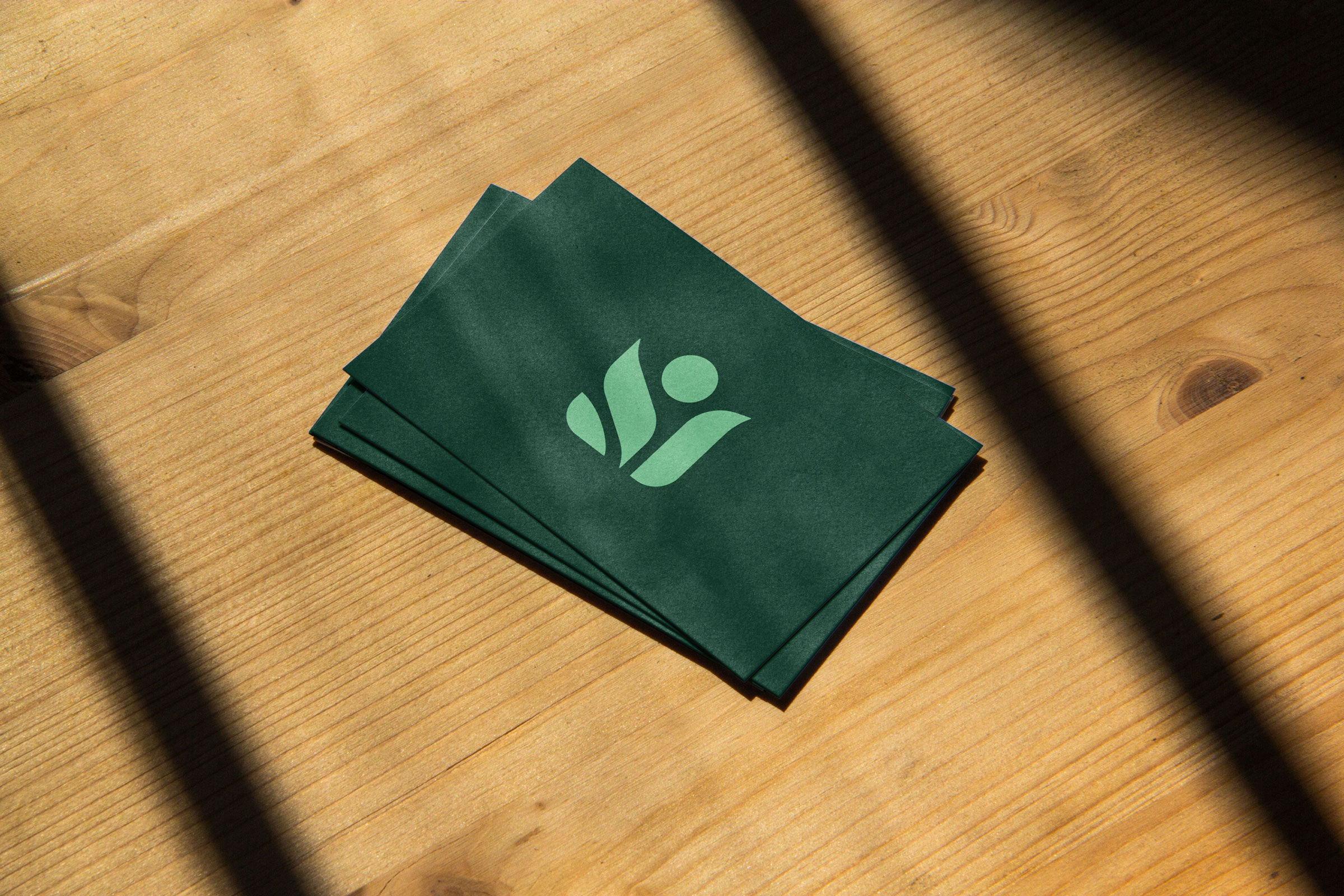 CNH全天然清潔公司logo設(shè)計(jì)“綠色花朵”元素