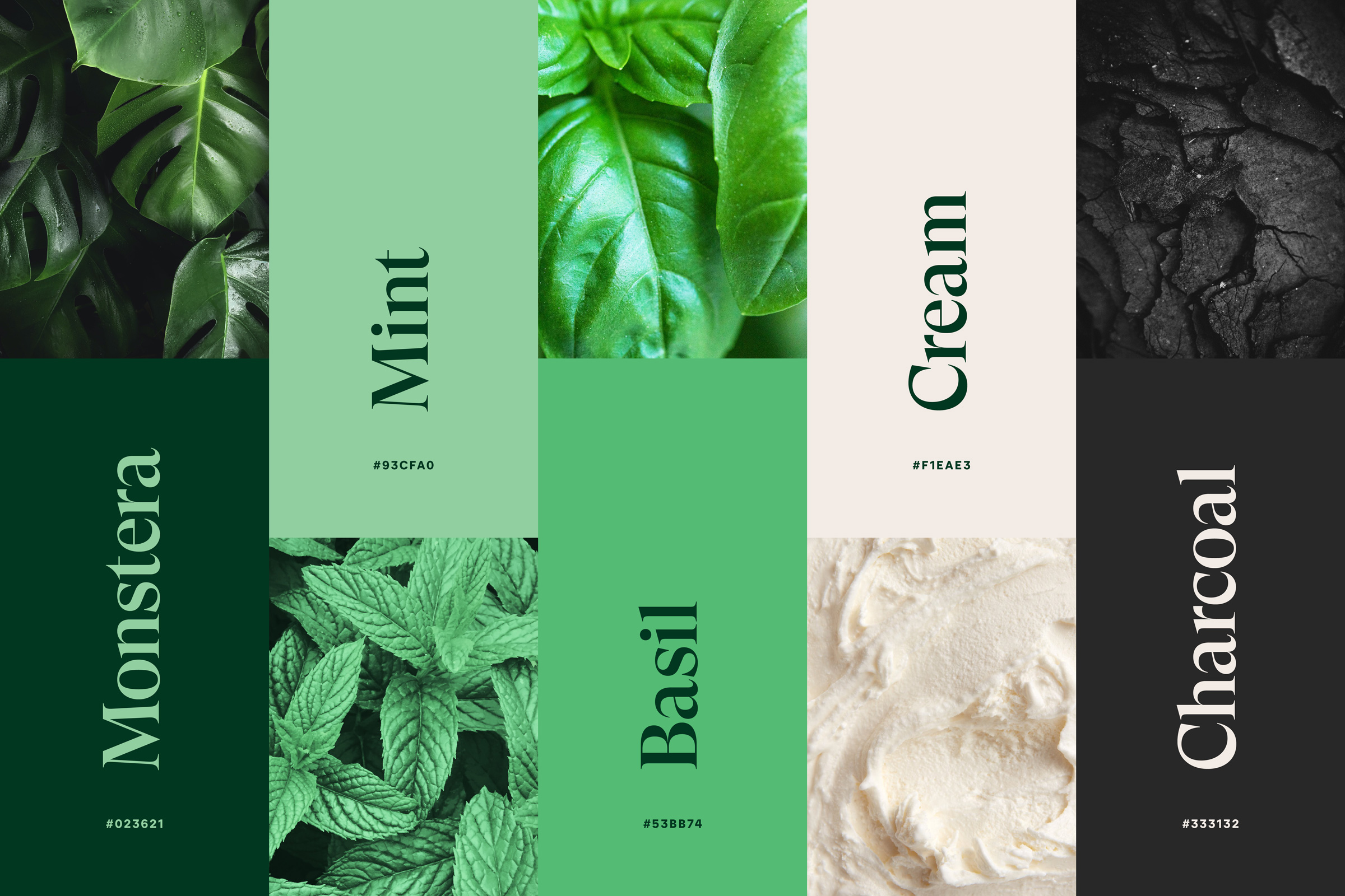 CNH全天然清潔公司logo設(shè)計(jì)“綠色花朵”元素