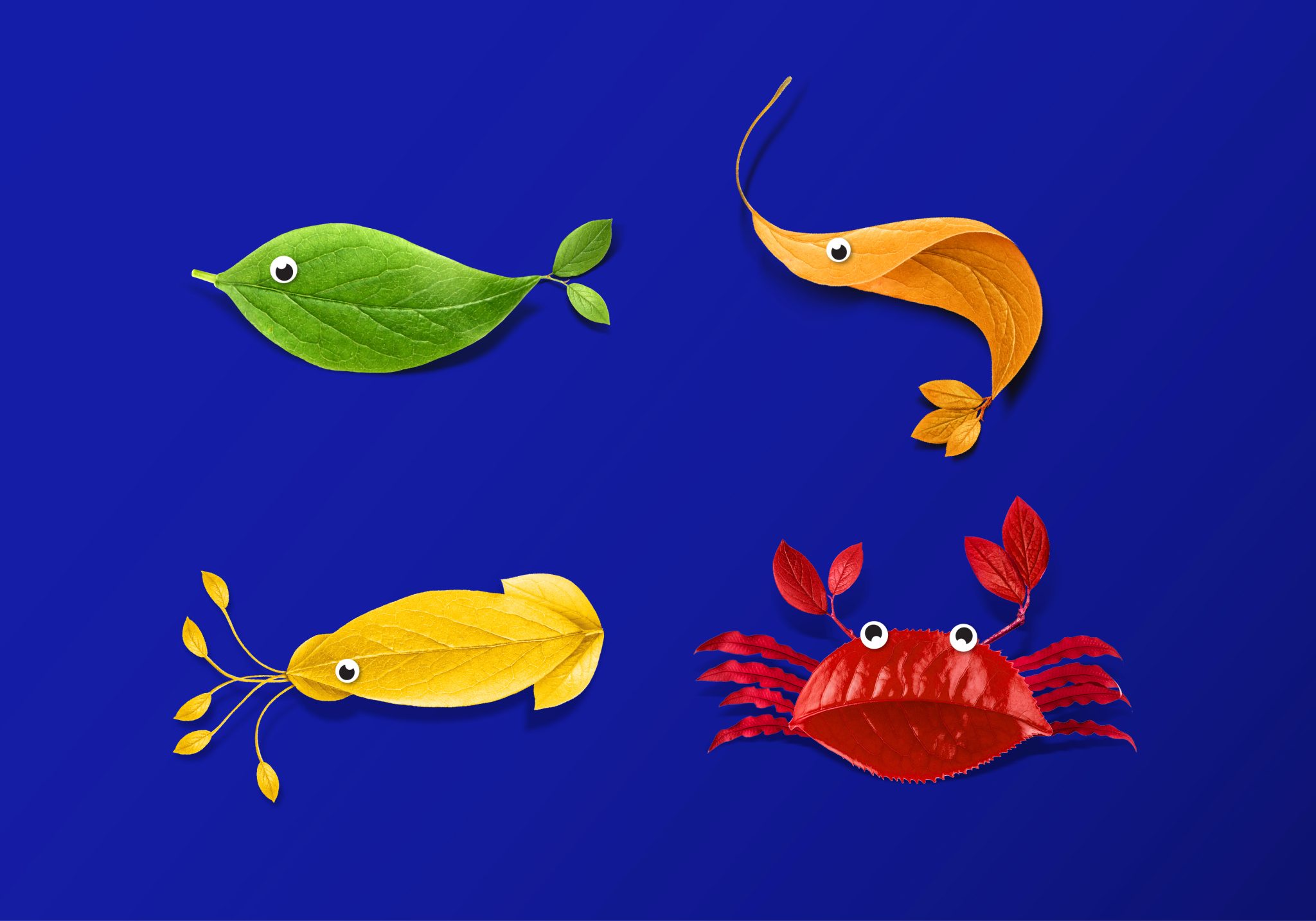 Mantra植物基素食海鮮食品包裝設計，藍色品牌識別+植物葉子海洋生物