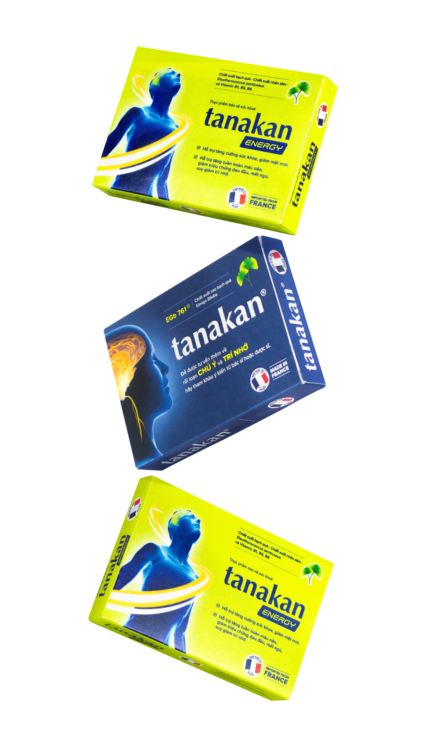 Tanakan 銀杏葉刺五加心腦健康藥品保健品包裝設(shè)計 Tanakan 銀杏葉刺五加心腦健康藥品保健品包裝設(shè)計