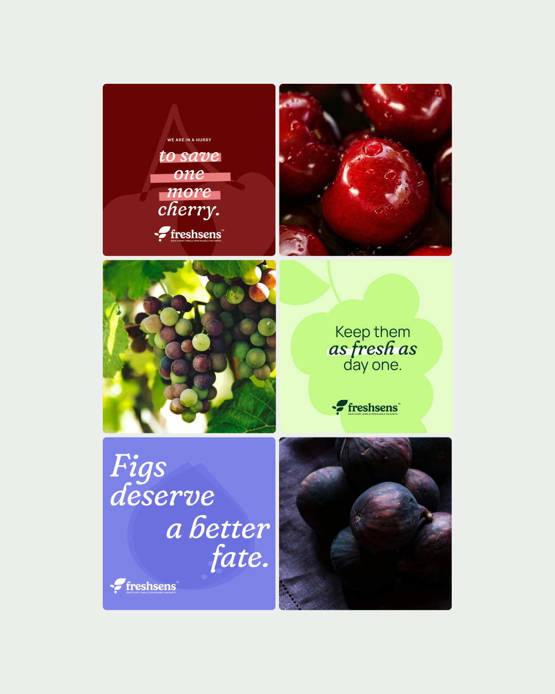 FreshSens農(nóng)業(yè)科技公司logo設(shè)計葉子元素 FreshSens農(nóng)業(yè)科技公司logo設(shè)計葉子元素