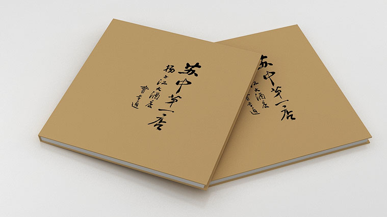 揚(yáng)子江大酒店畫(huà)冊(cè)設(shè)計(jì)