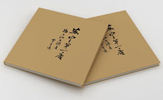 揚子江大酒店畫冊設(shè)計