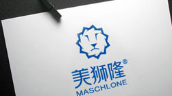 美獅隆門(mén)窗建材品牌標(biāo)志設(shè)計(jì)VI設(shè)計(jì)