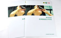 舍弗勒集團(tuán)招聘宣傳冊設(shè)計