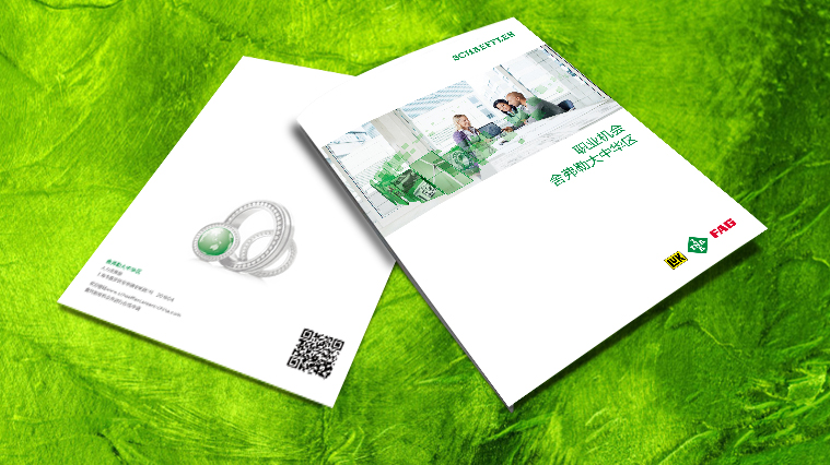 舍弗勒集團招聘宣傳冊設(shè)計-上海工業(yè)品畫冊設(shè)計公司