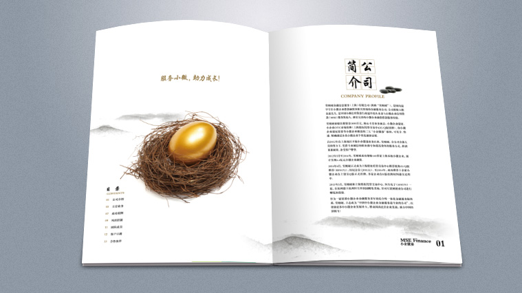 實(shí)則硬小微企業(yè)金融服務(wù)企業(yè)宣傳畫冊(cè)設(shè)計(jì)-上海宣傳冊(cè)設(shè)計(jì)公司2