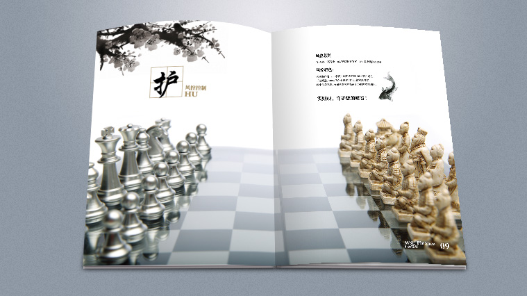 實(shí)則硬小微企業(yè)金融服務(wù)企業(yè)宣傳畫冊(cè)設(shè)計(jì)-上海宣傳冊(cè)設(shè)計(jì)公司5