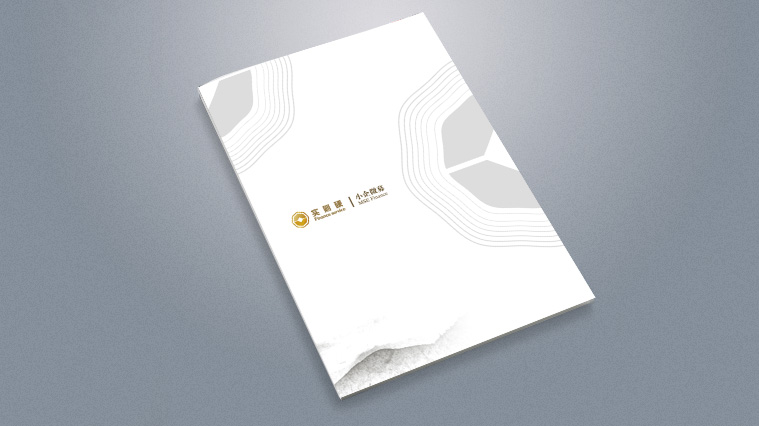 實(shí)則硬小微企業(yè)金融服務(wù)企業(yè)宣傳畫冊(cè)設(shè)計(jì)-上海宣傳冊(cè)設(shè)計(jì)公司1