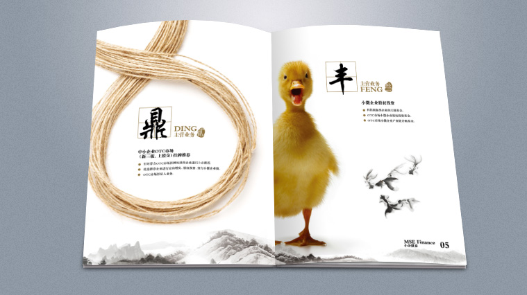 實(shí)則硬小微企業(yè)金融服務(wù)企業(yè)宣傳畫冊(cè)設(shè)計(jì)-上海宣傳冊(cè)設(shè)計(jì)公司4