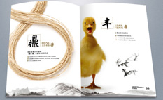 實則硬小微企業(yè)金融服務(wù)企業(yè)宣傳畫冊設(shè)計-上海宣傳冊設(shè)計公司