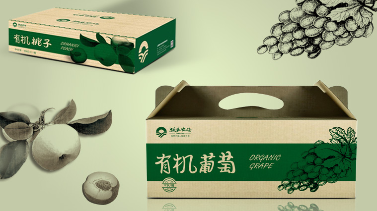 16涌禾農(nóng)場農(nóng)產(chǎn)品包裝設計-有機水果包裝設計-上海品牌全案策劃設計公司