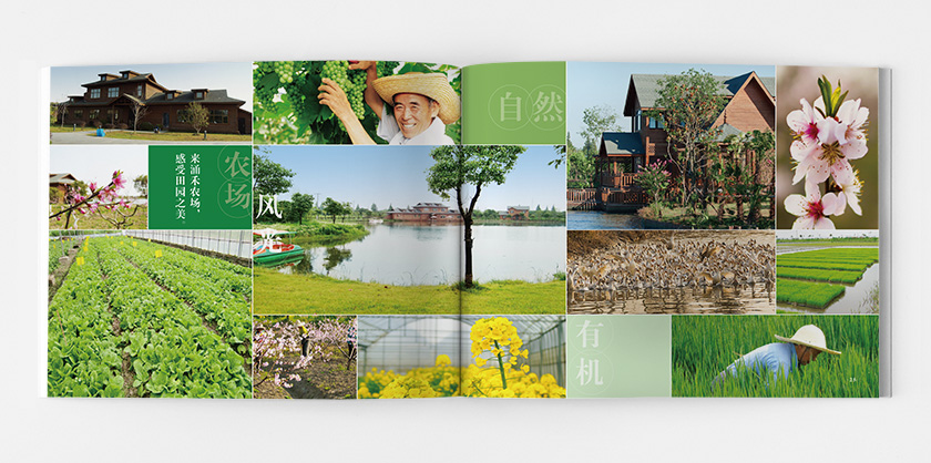涌禾農(nóng)場宣傳畫冊策劃設計