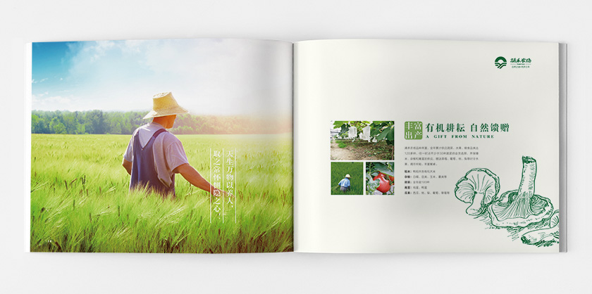 涌禾農(nóng)場宣傳畫冊策劃設計