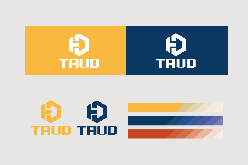 TAUD托德汽車配件LOGO設(shè)計(jì)-上海logo設(shè)計(jì)公司3
