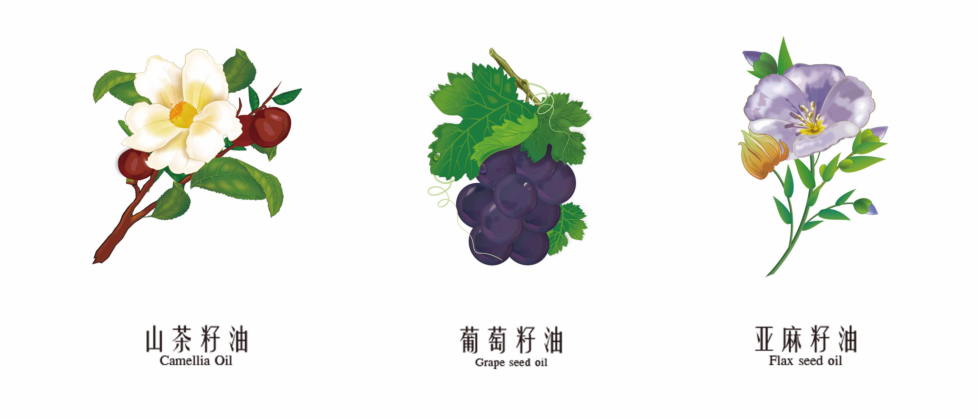 Shirlia 莎麗亞食用油包裝設(shè)計瓶形設(shè)計山茶油亞麻籽油葡萄籽油禮盒包裝設(shè)計