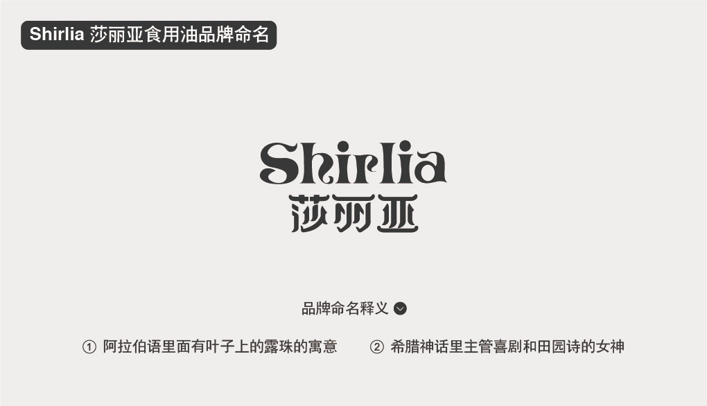 品牌命名商標起名-尚略上海品牌策劃公司